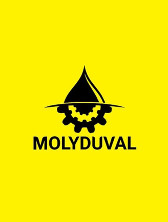 TOTALENERGIES - Fina Oleje